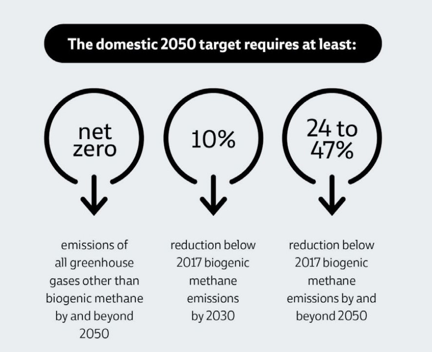 components of the domestic 2050 target