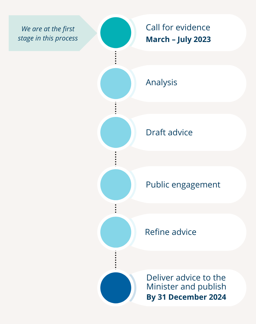 Timeline for this work, with final advice delivered to the Minister and published by the end of 2024